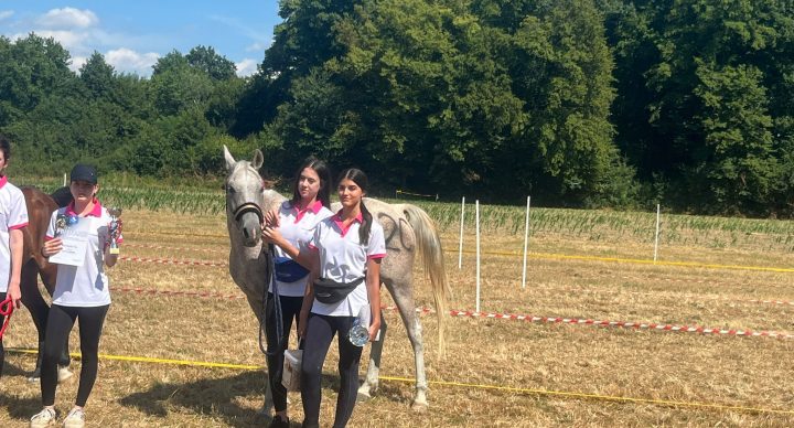 4. kolo Croatia kupa u daljinskom jahanju